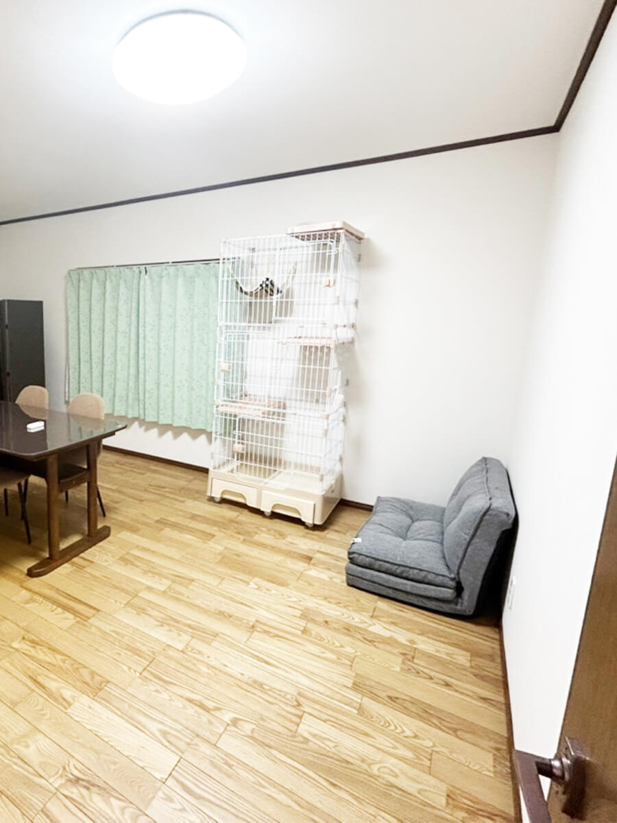レホナ姫路東辻井Ⅱ号館のキャットタワー